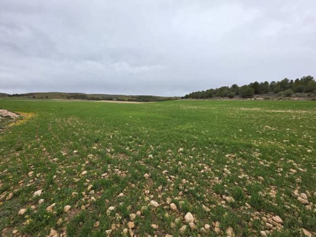 Terreno en venta en Chinchilla de Montearagón, Castilla-La Mancha