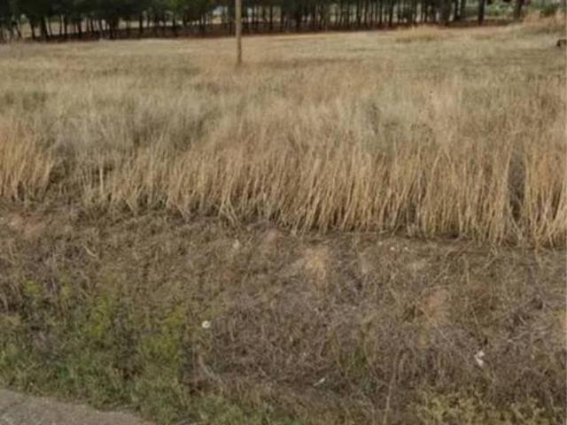 Terreno en venta en Chinchón, Madrid