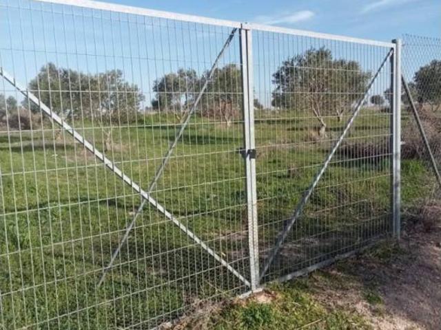Terreno en venta en Chinchón, Madrid