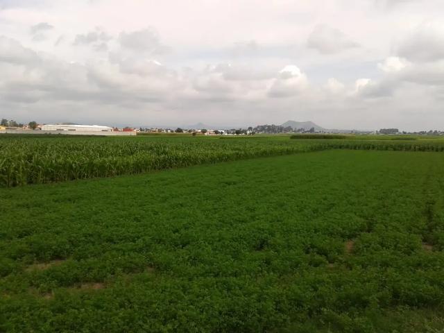 Terreno en venta en Apaxtla, Guerrero