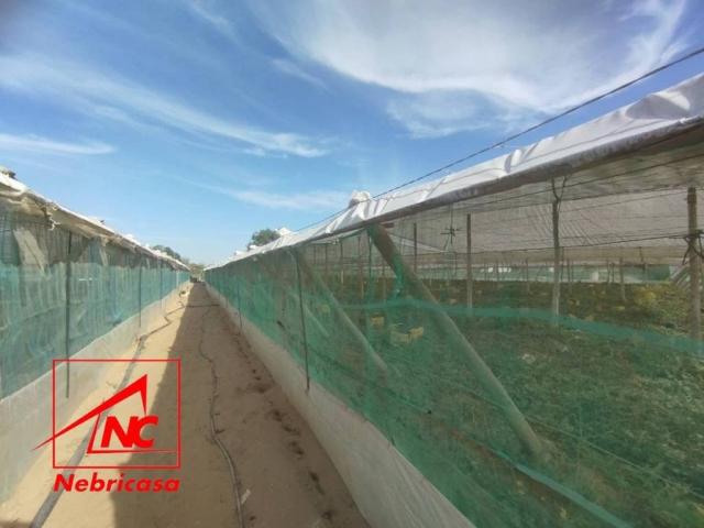 Terreno en venta en Costa Noroeste, Andalucía