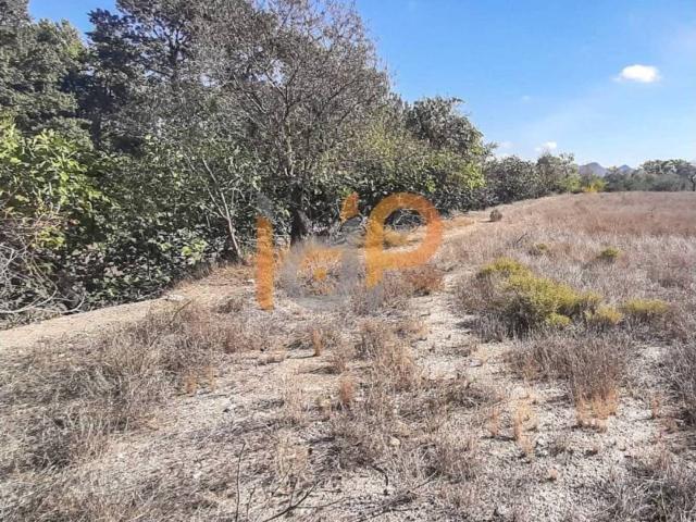 Terreno en venta en Los Vélez, Andalucía
