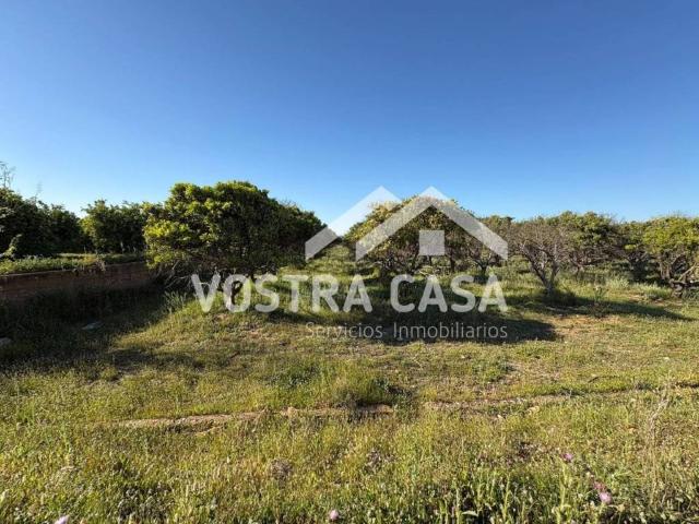 Terreno en venta en La Hoya de Buñol, Valencia
