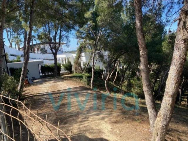 Terreno en venta en La Hoya de Buñol, Valencia