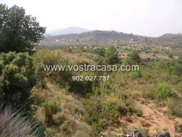 Terreno en venta en La Hoya de Buñol, Valencia