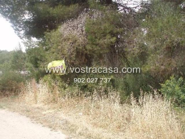 Terreno en venta en La Hoya de Buñol, Valencia