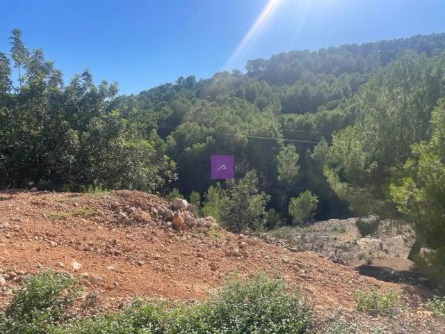 Terreno en venta en La Hoya de Buñol, Valencia
