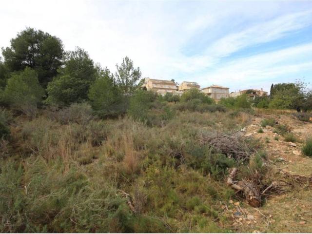 Terreno en venta en La Hoya de Buñol, Valencia