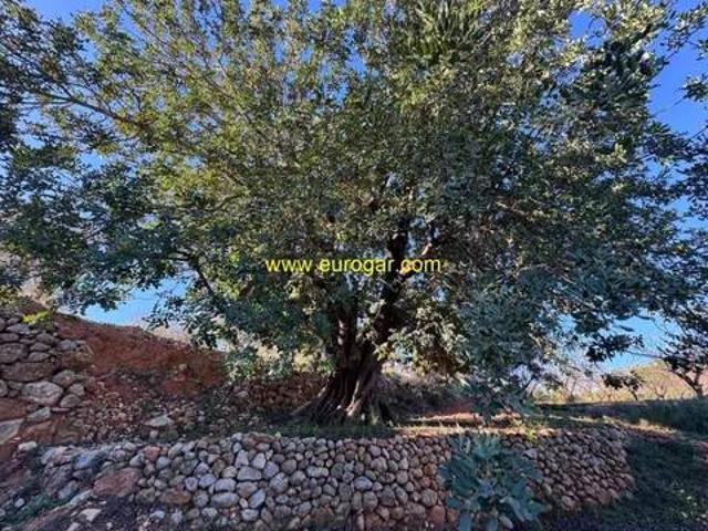 Terreno en venta en La Hoya de Buñol, Valencia