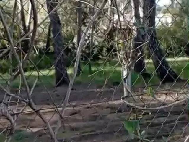 Terreno en venta en La Hoya de Buñol, Valencia