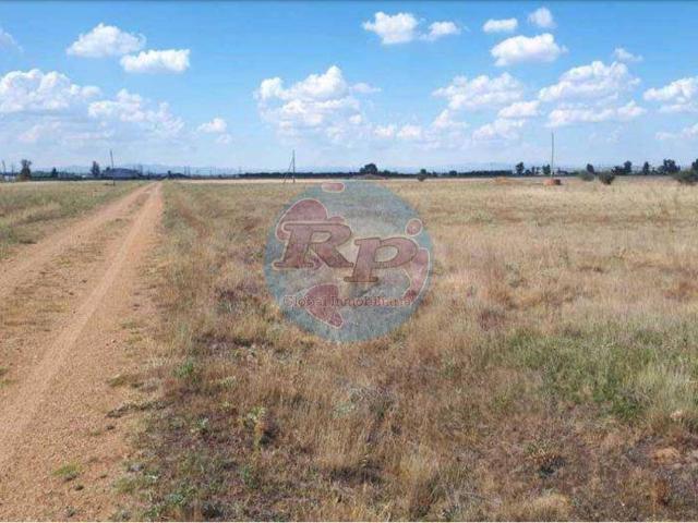 Terreno en venta en Chozas De Abajo, Castilla y León