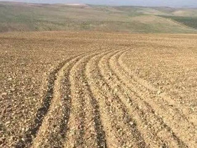 Terreno en venta en El Condado, Andalucía