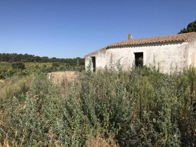 Terreno en venta en El Condado, Andalucía