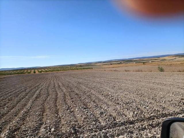 Terreno en venta en Chueca, Castilla-La Mancha