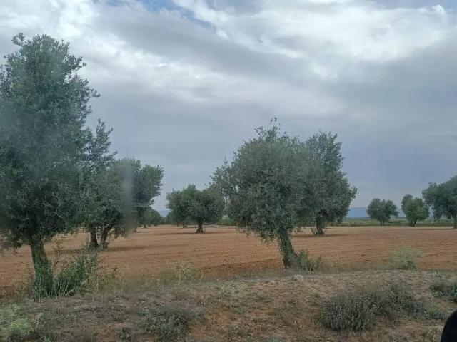 Terreno en venta en Chueca, Toledo