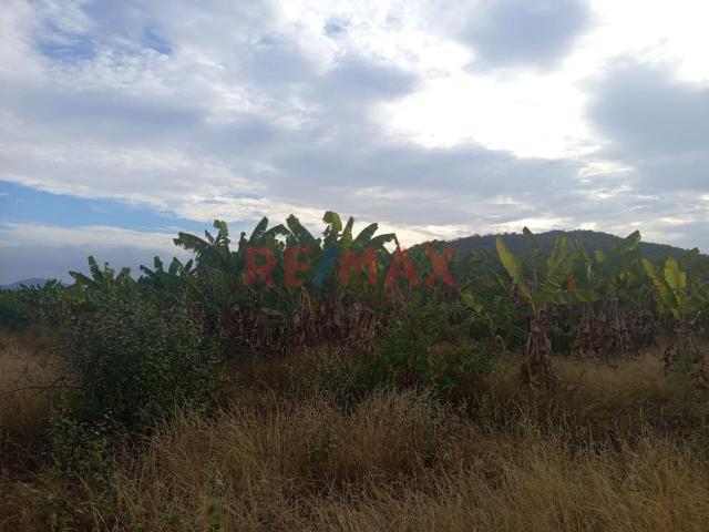 Terreno venta en Morropon, Piura