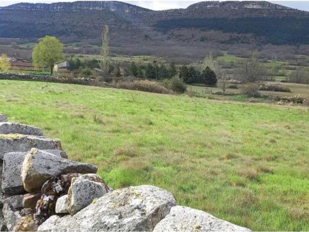 Terreno en venta en Cidones, Castilla y León