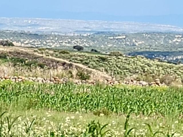 Terreno en venta en Poanas, Durango
