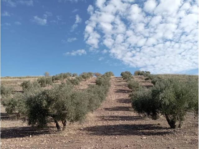 Terreno en venta en Comarca de la Vega de Granada, Andalucía
