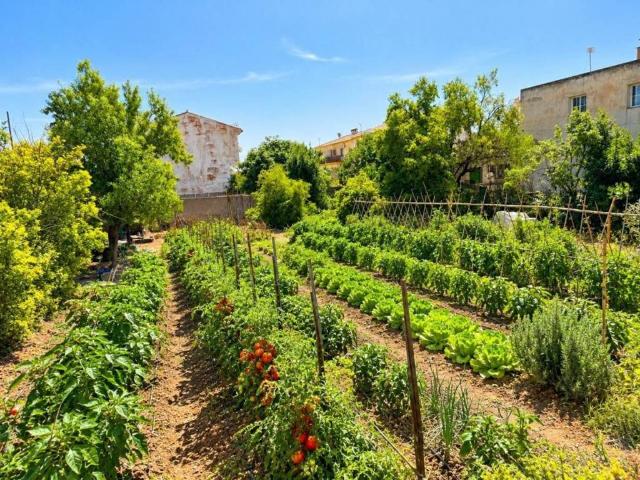 Terreno en venta en Comarca de la Vega de Granada, Andalucía