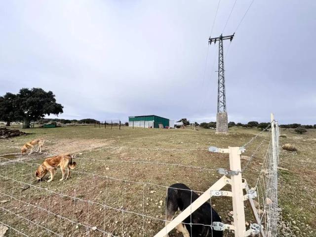 Terreno en venta en Cillán, Castilla y León