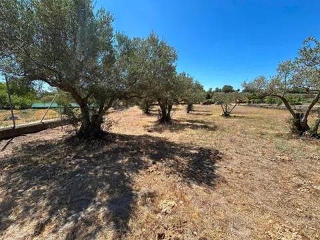 Terreno en venta en Cilleros, Extremadura