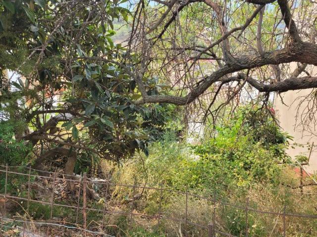 Terreno en venta en l'Alt Millars, Valencia