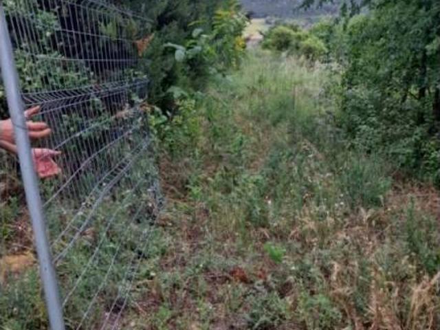 Terreno en venta en Cistérniga, Castilla y León
