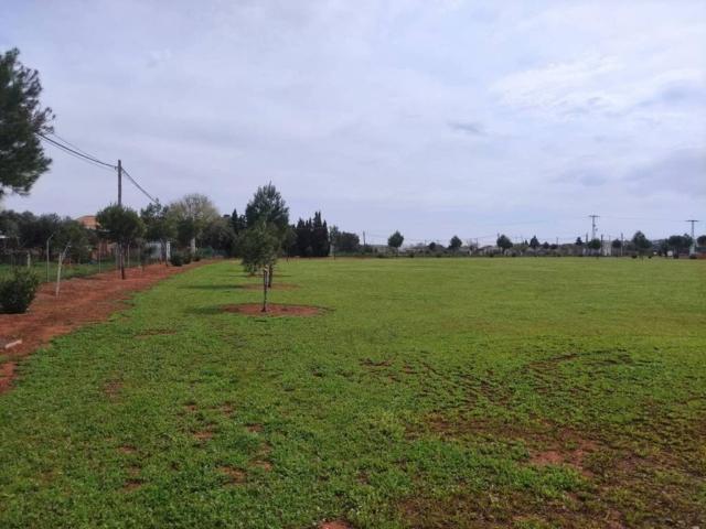 Terreno en venta en Ciudad Real, Castilla-La Mancha