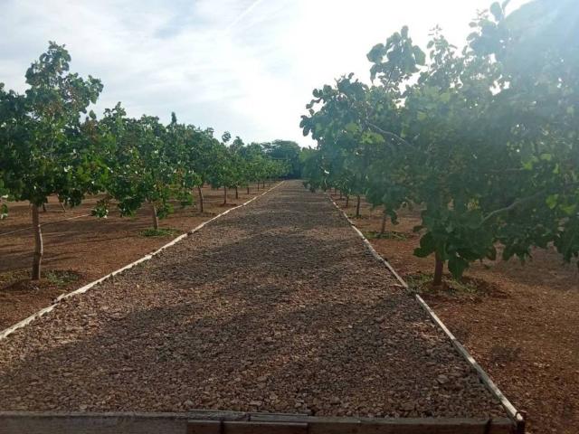 Terreno en venta en Ciudad Real, Castilla-La Mancha