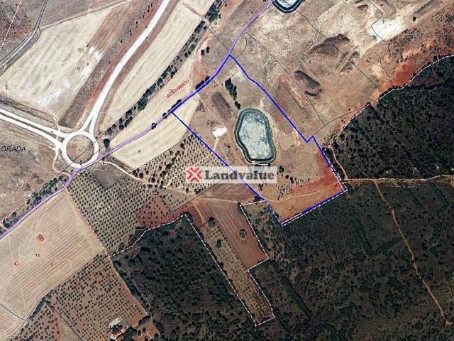 Terreno en venta en Ciudad Real, Castilla-La Mancha