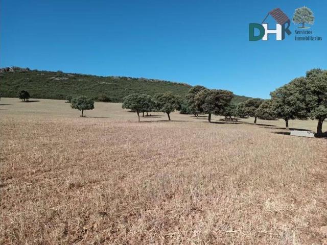 Terreno en venta en Ciudad Real, Castilla-La Mancha