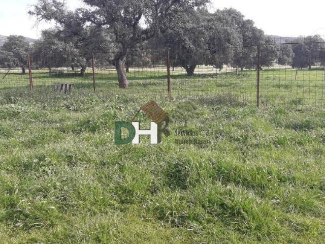 Terreno en venta en Ciudad Real, Castilla-La Mancha