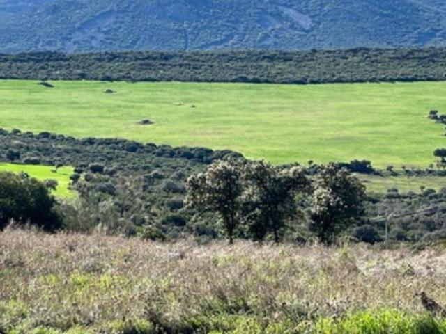 Terreno en venta en Ciudad Real, Castilla-La Mancha