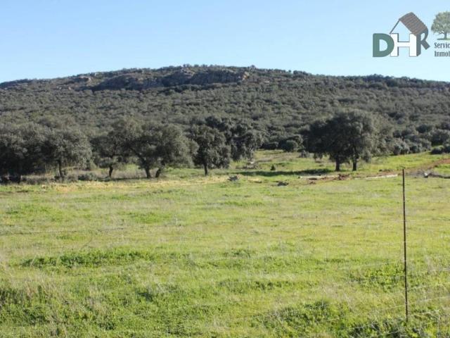Terreno en venta en Ciudad Real, Castilla-La Mancha