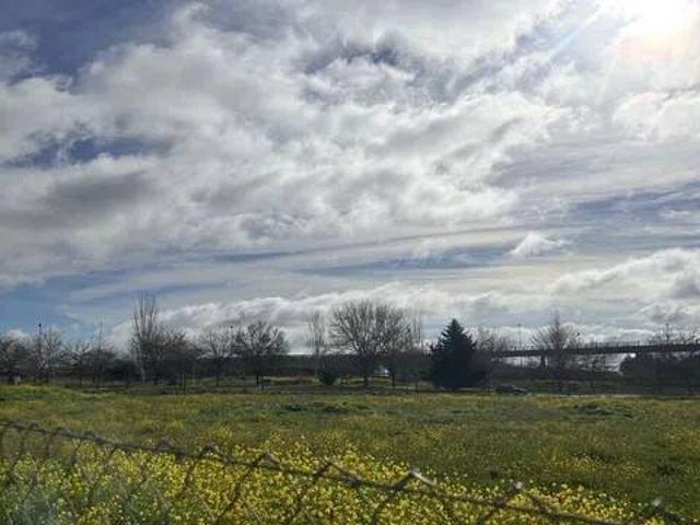 Terreno en venta en Ciudad Real, Castilla-La Mancha