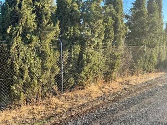Terreno en venta en La Poblachuela, Ciudad Real