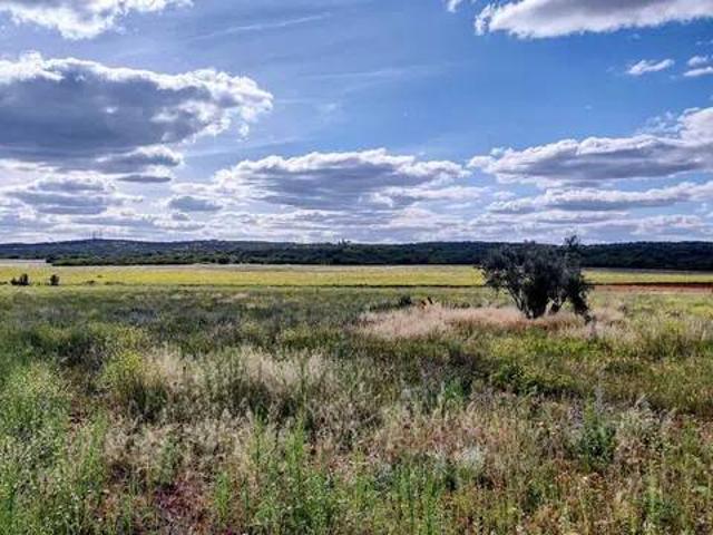 Terreno en venta en Ciudad Real, Castilla-La Mancha