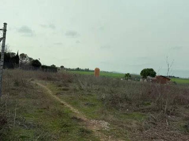 Terreno en venta en Las Casas, Ciudad Real