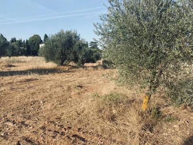 Terreno en venta en La Poblachuela, Ciudad Real