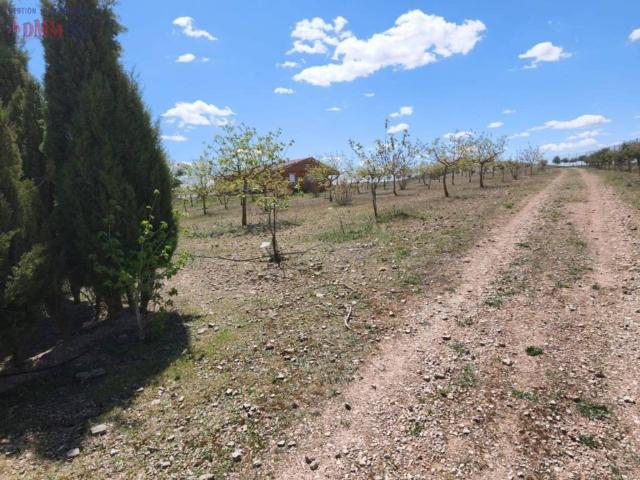 Terreno en venta en Ciudad Real, Castilla-La Mancha
