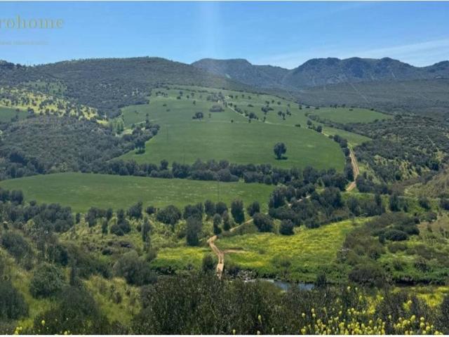Terreno en venta en Ciudad Real, Castilla-La Mancha