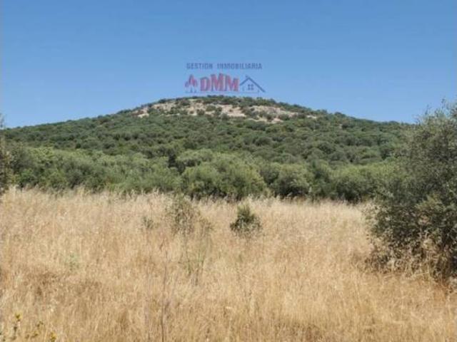Terreno en venta en Ciudad Real, Castilla-La Mancha