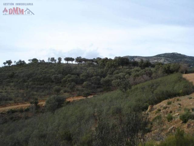 Terreno en venta en Ciudad Real, Castilla-La Mancha