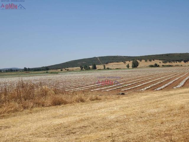 Terreno en venta en Ciudad Real, Castilla-La Mancha