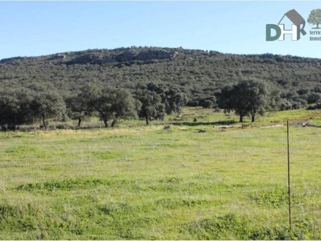 Terreno en venta en Ciudad Real, Castilla-La Mancha
