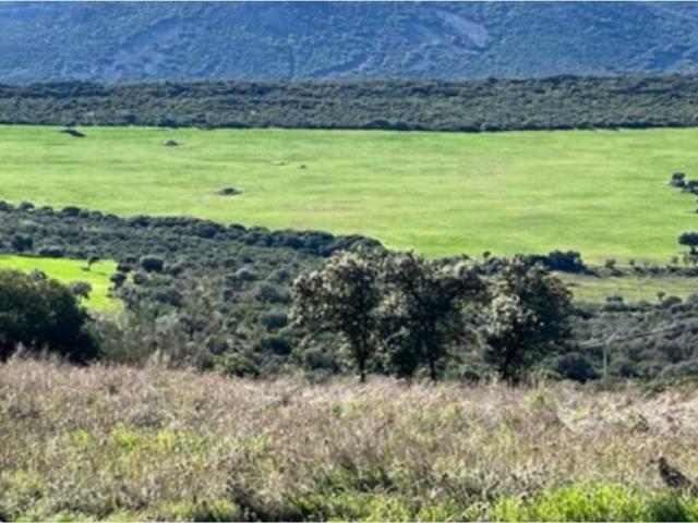 Terreno en venta en Ciudad Real, Castilla-La Mancha