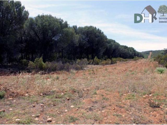 Terreno en venta en Ciudad Real, Castilla-La Mancha
