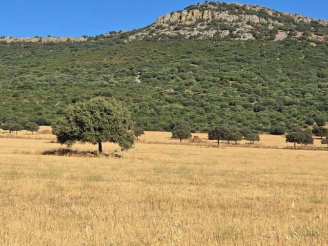 Terreno en venta en Los Yébenes