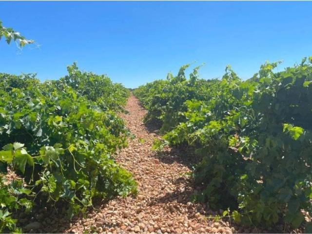 Terreno en venta en Ciudad Real, Castilla-La Mancha